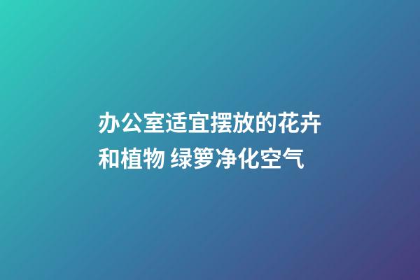 办公室适宜摆放的花卉和植物 绿箩净化空气